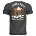DARK GREY - 3001C - BACK